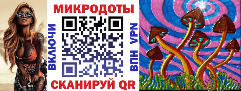 darknet формула  Шебекино  Псилоцибиновые грибы GOLDEN TEACHER  даркнет сайт 