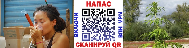 наркотики  Шебекино  МАРИХУАНА тримм 
